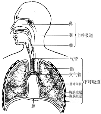2016年执业护士资格考试 全国25考区 考前终极点题